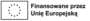 Europejskie praktyki zawodowe VIII